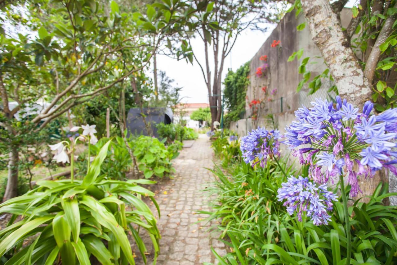 Beautiful Country House&Romantic Garden Sintra Bagian luar foto