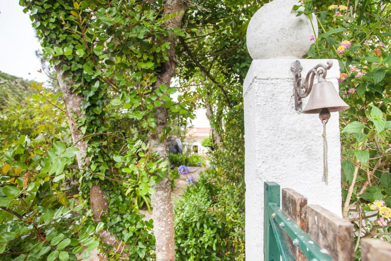 Beautiful Country House&Romantic Garden Sintra Bagian luar foto