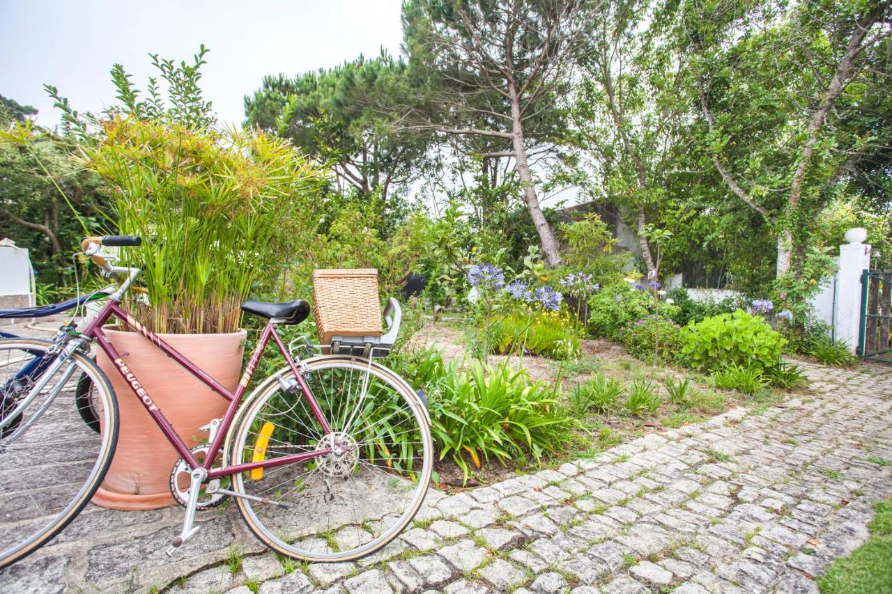 Beautiful Country House&Romantic Garden Sintra Bagian luar foto